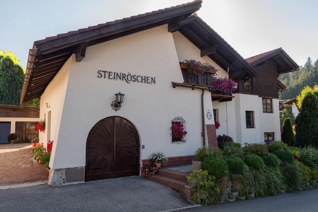Haus Steinroeschen Apartment Seefeld in Tirol Exterior foto